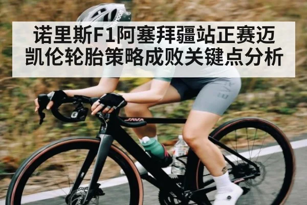 诺里斯F1阿塞拜疆站正赛迈凯伦轮胎策略成败关键点分析